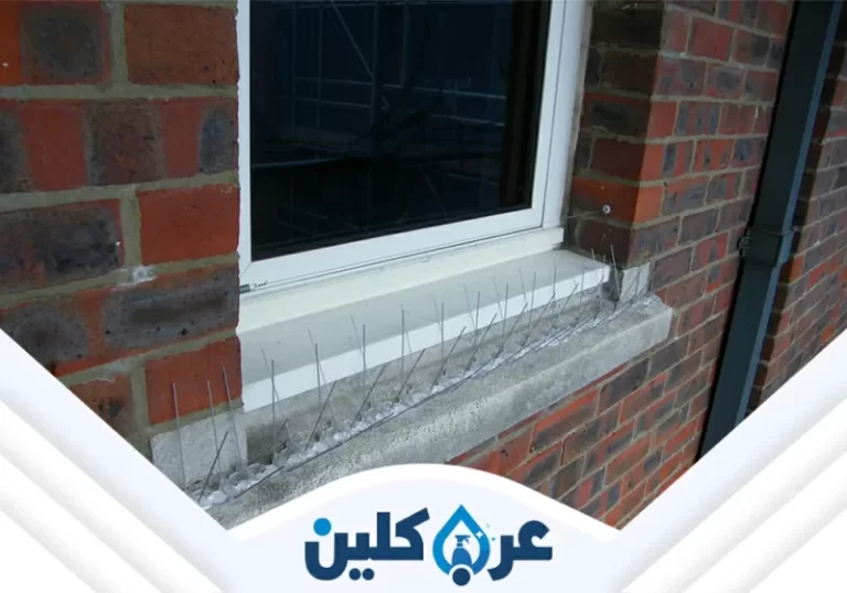 شركة تركيب طارد حمام بنجران