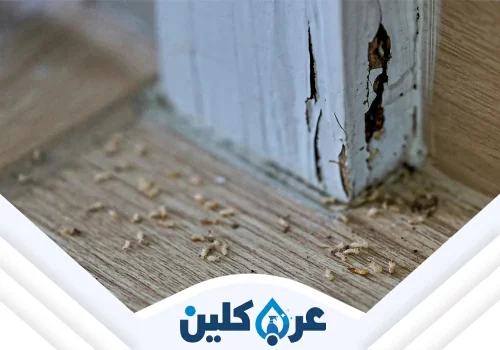 ارخص مكافحة نمل بنجران